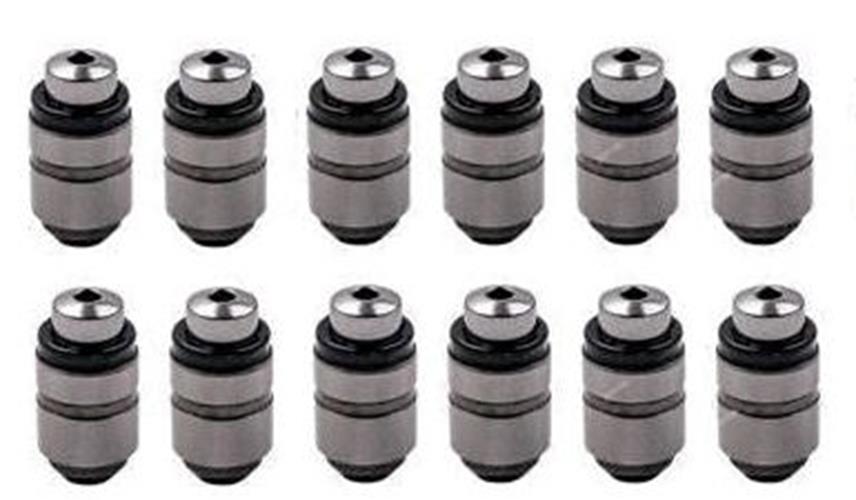 12 Hydraulic Valve Lifters Lash Adjusters for Mitsubishi Magna TW 2004 - 2005