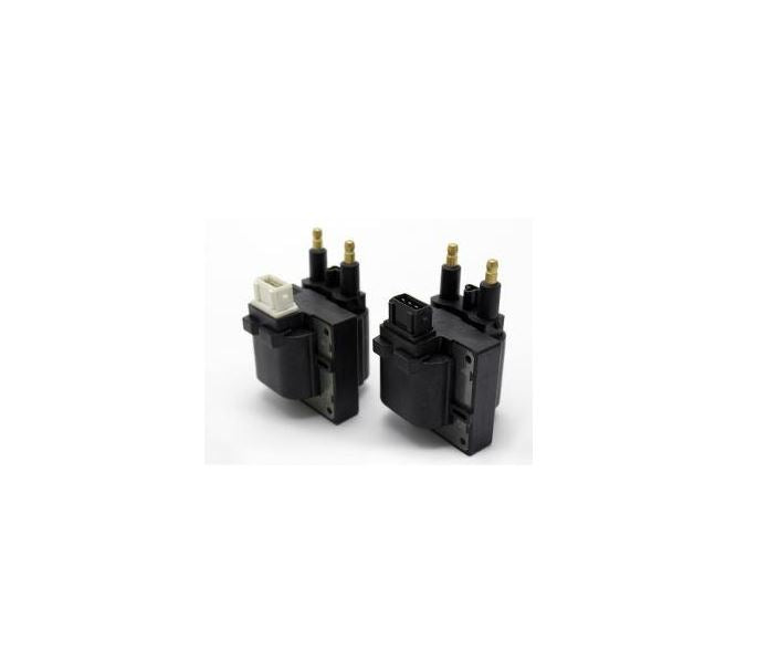 Set of 2 Ignition Coil for RENAULT Clio II Kangoo Express Megane Cabriolet Sceni