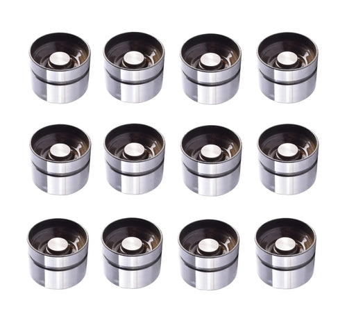 12 x Valve Lifters for Toyota Landcruiser HDJ80 4.2 1HZ 12 x Valve Lifters for Toyota Landcruiser HDJ80 4.2 1HZ